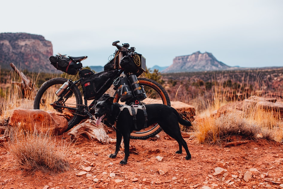 Wanderlust: A Journey Through Time